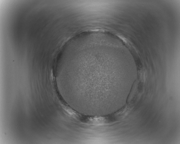 X0000066080517200603131141