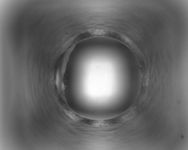 X0000066080521200603131141