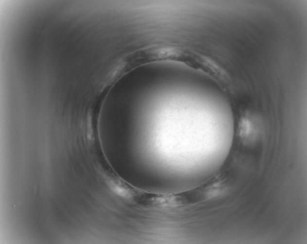 X0000066080524200603131141