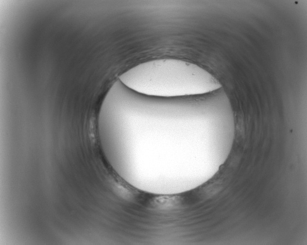 X0000066080526200603131141