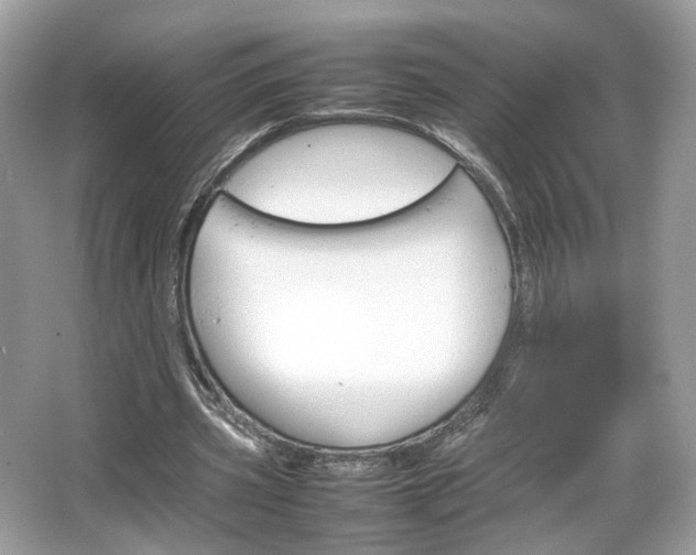 X0000066080533200603131140