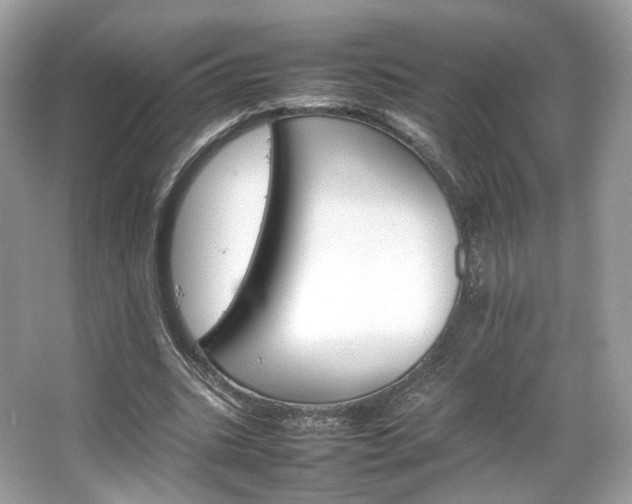 X0000066080535200603131140
