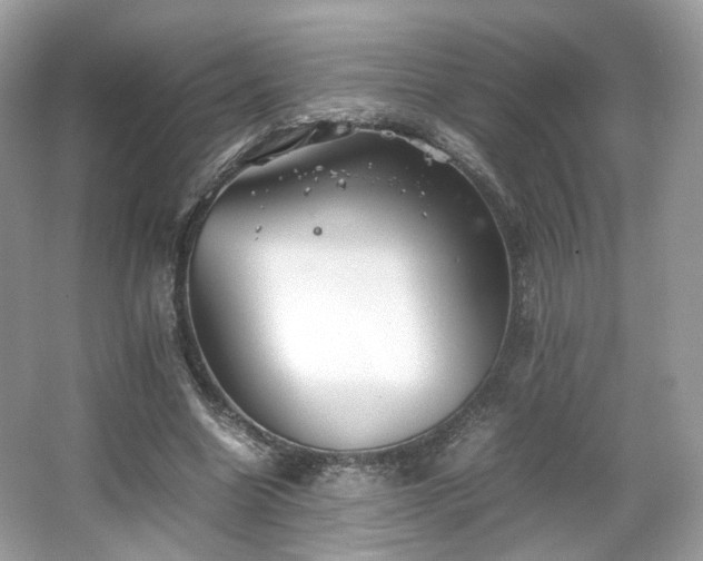 X0000066080538200603131140