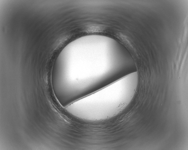 X0000066080539200603131140