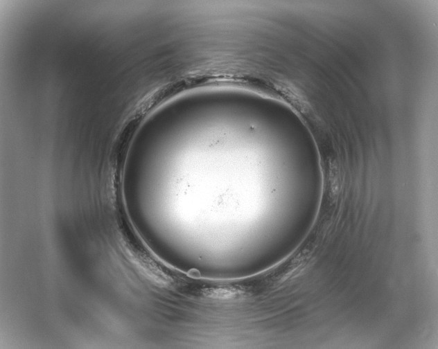 X0000066080542200603131140