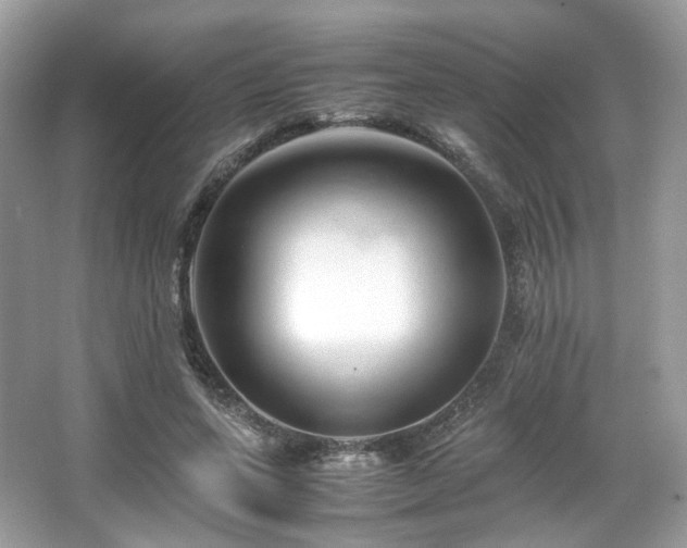 X0000066080543200603131140