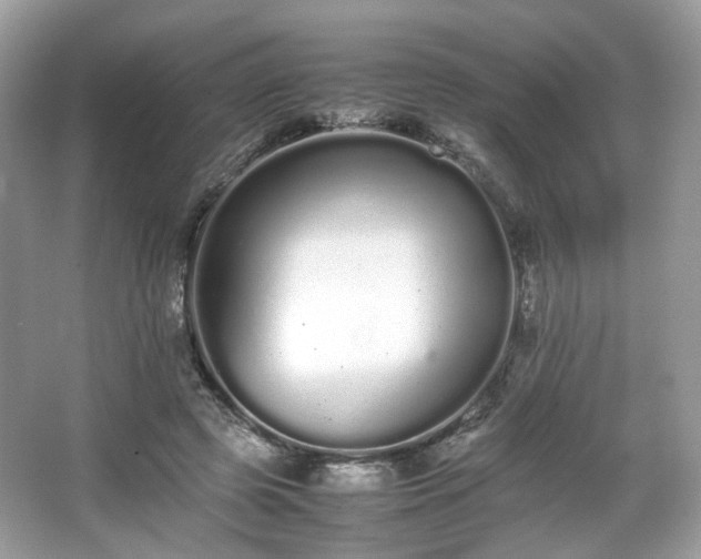 X0000066080545200603131140