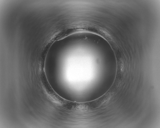 X0000066080546200603131140