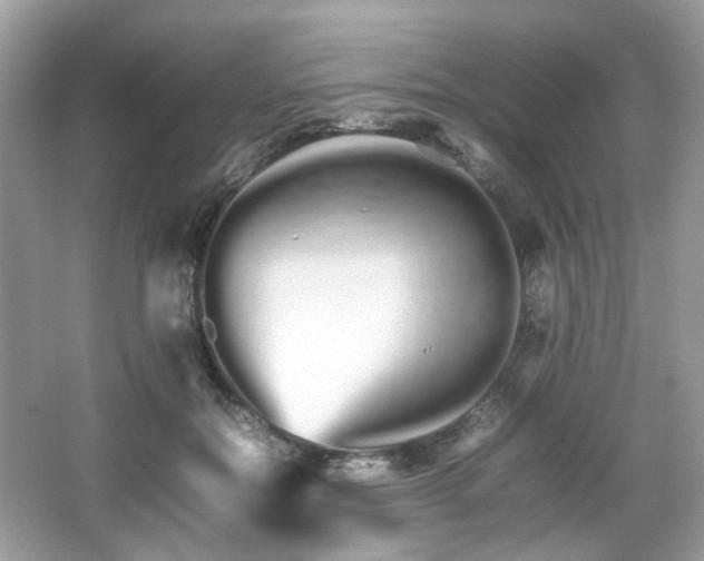 X0000066080554200603131140