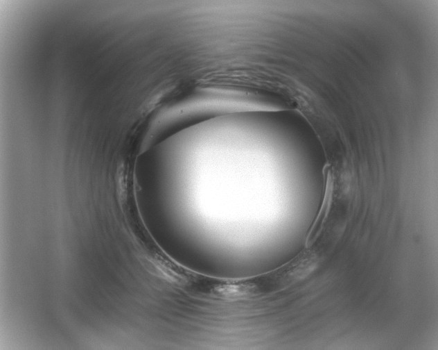X0000066080558200603131141