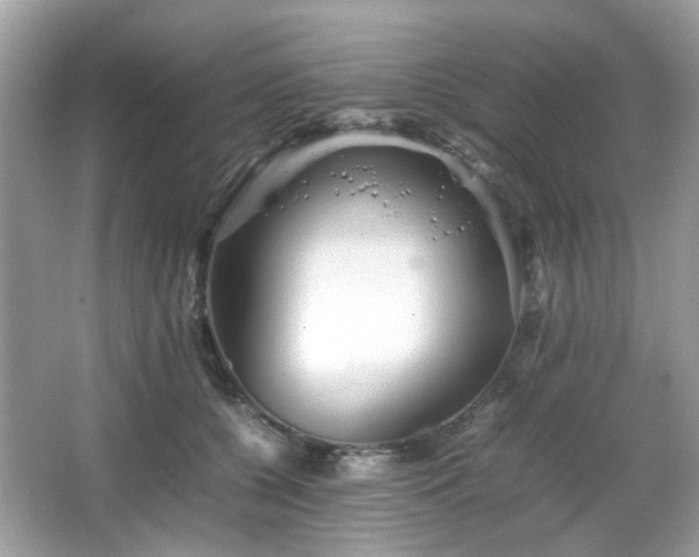 X0000066080560200603131141