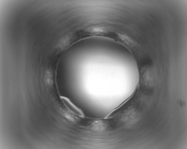 X0000066080562200603131141