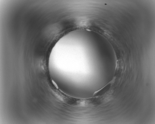 X0000066080564200603131141