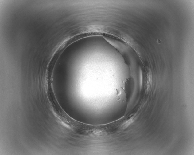 X0000066080580200603131140