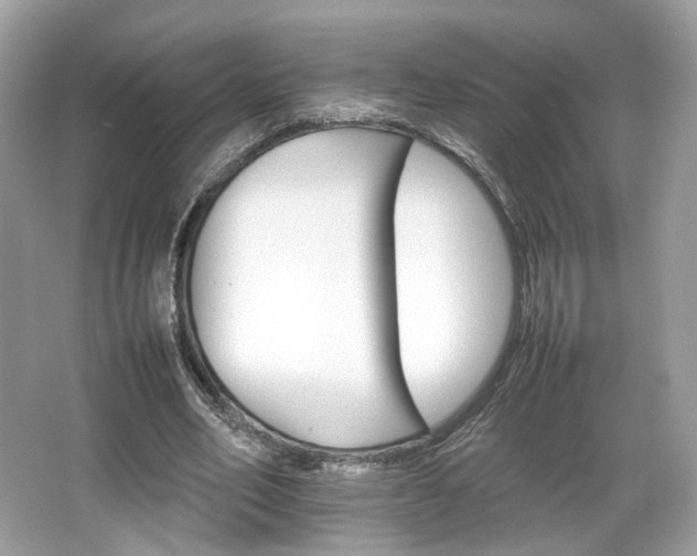 X0000066080582200603131140