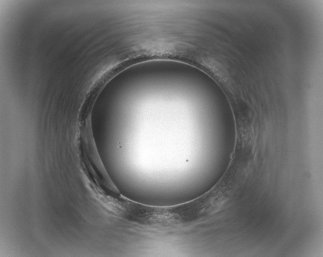 X0000066080583200603131140