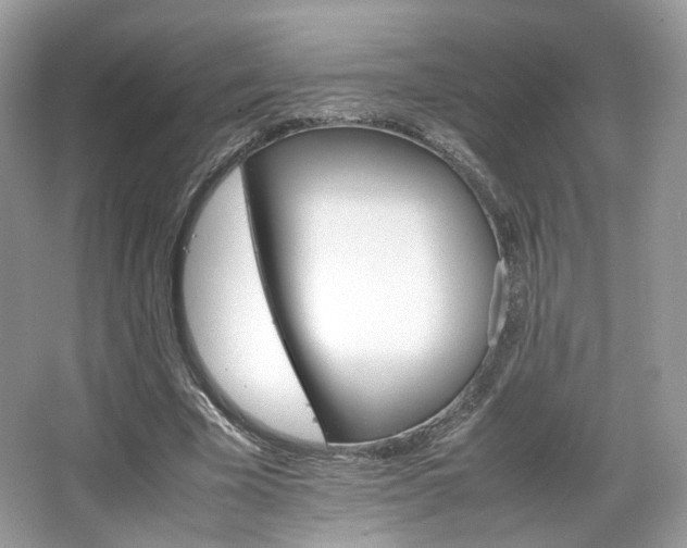 X0000066080585200603131140