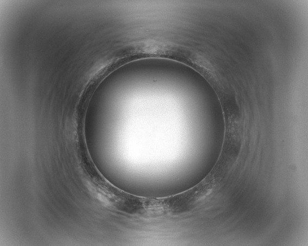 X0000066080587200603131140