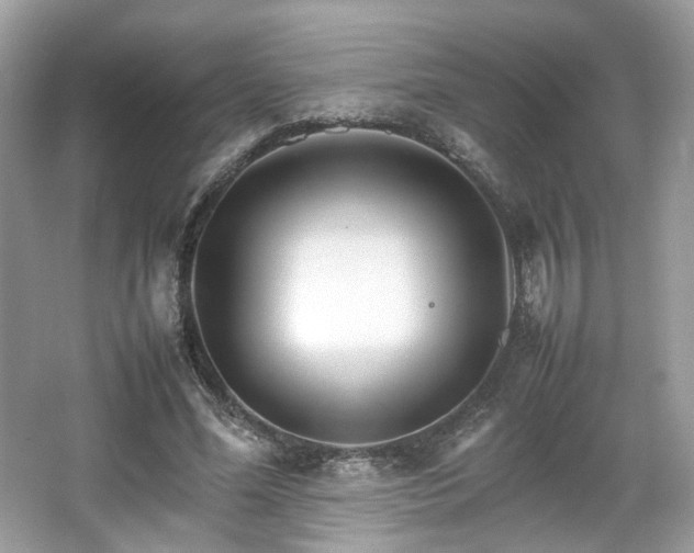 X0000066080588200603131140