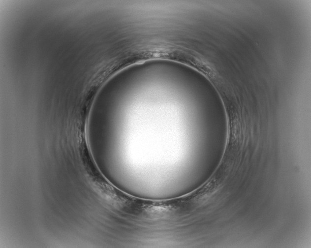 X0000066080594200603131140