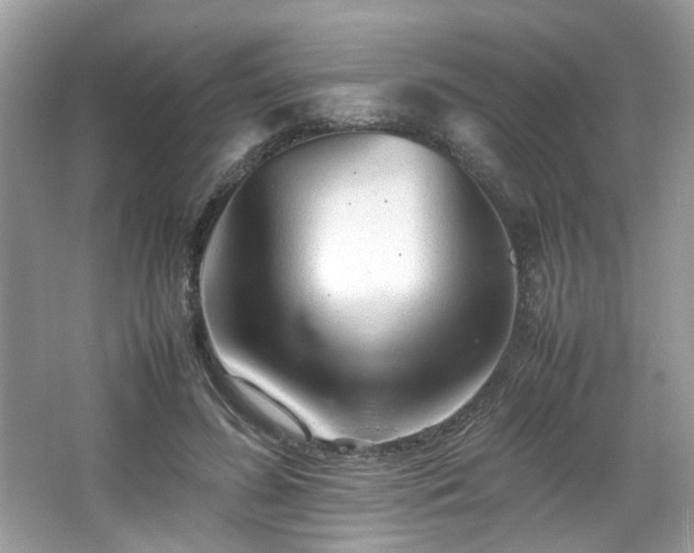 X0000066080596200603131140