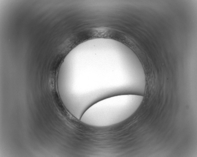 X0000066080602200603131140