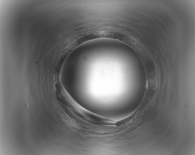 X0000066080605200603131140