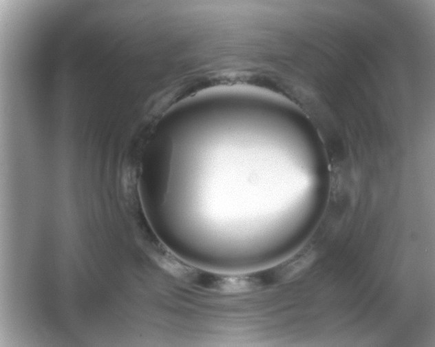 X0000066080623200603131139