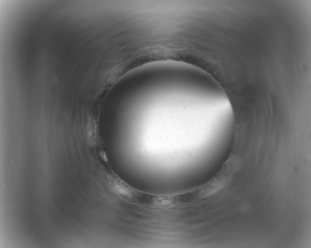 X0000066080624200603131139