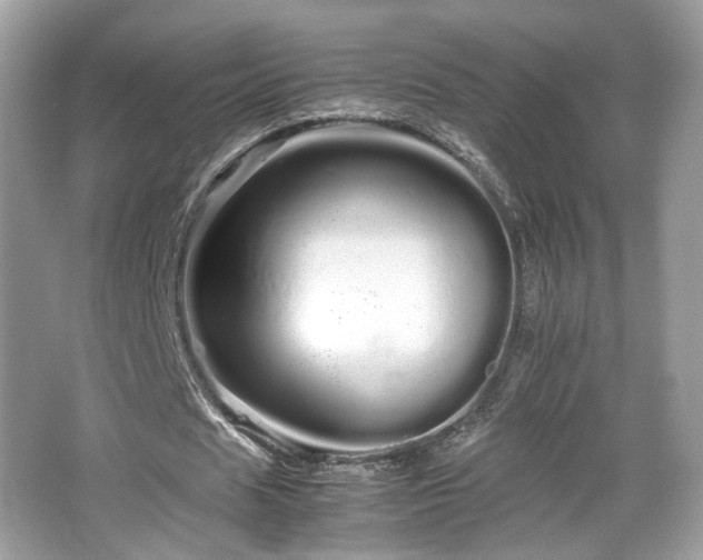 X0000066080625200603131138