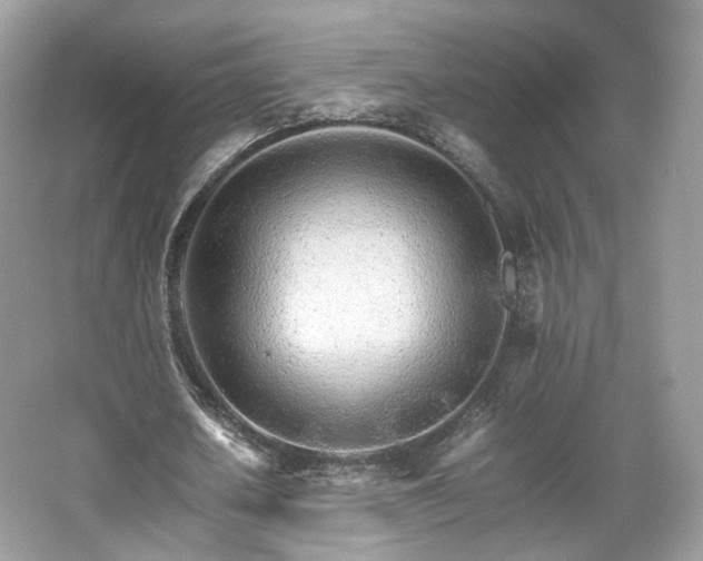 X0000066080626200603131138