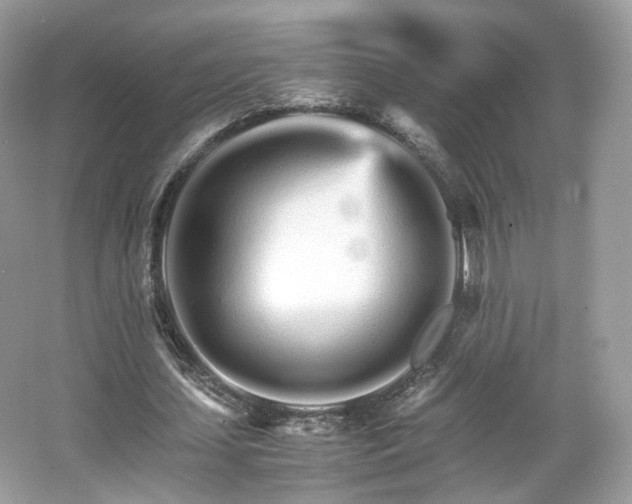 X0000066080627200603131138
