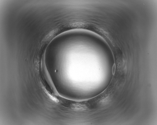 X0000066080633200603131139