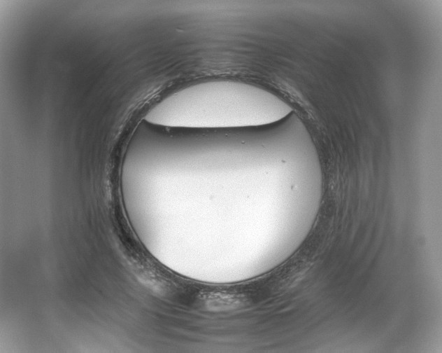 X0000066080635200603131139