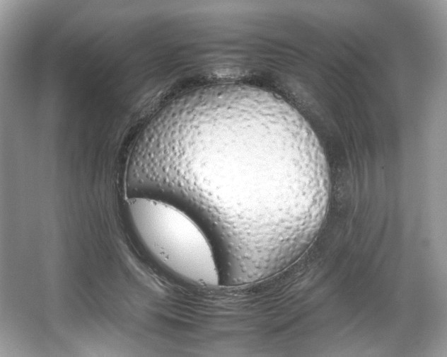 X0000066080639200603131139