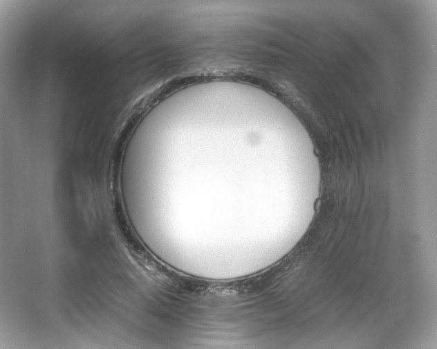 X0000066080640200603131139