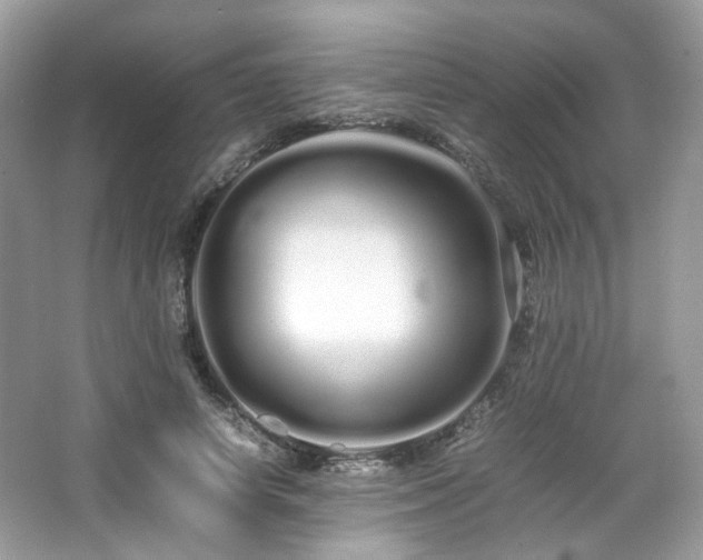 X0000066080642200603131139