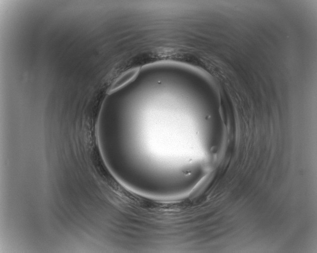 X0000066080653200603131139