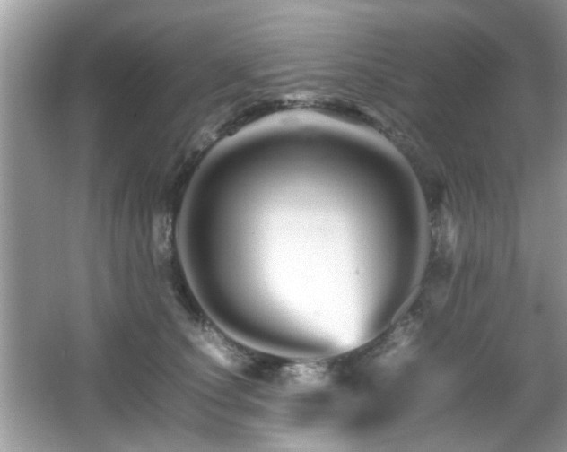 X0000066080660200603131139
