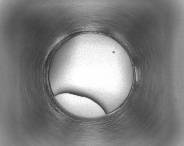 X0000066080675200603131138