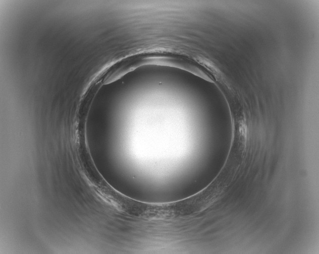 X0000066080676200603131138