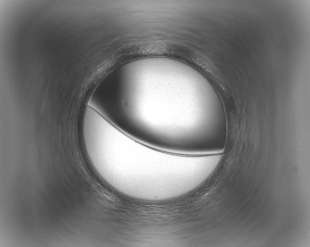 X0000066080681200603131138