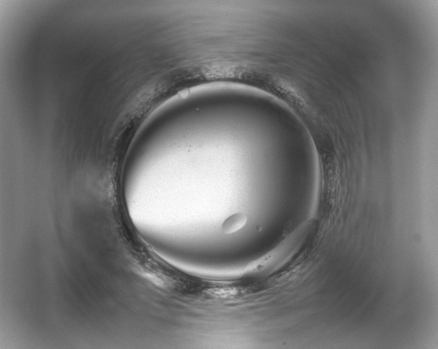 X0000066080687200603131138