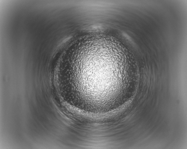 X0000066080692200603131138