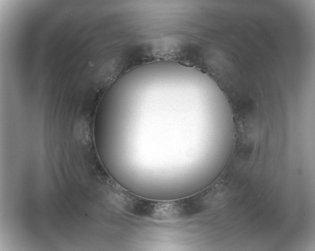 X0000066080705200603131138