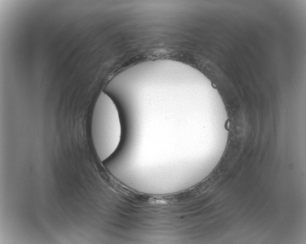 X0000066080706200603131138
