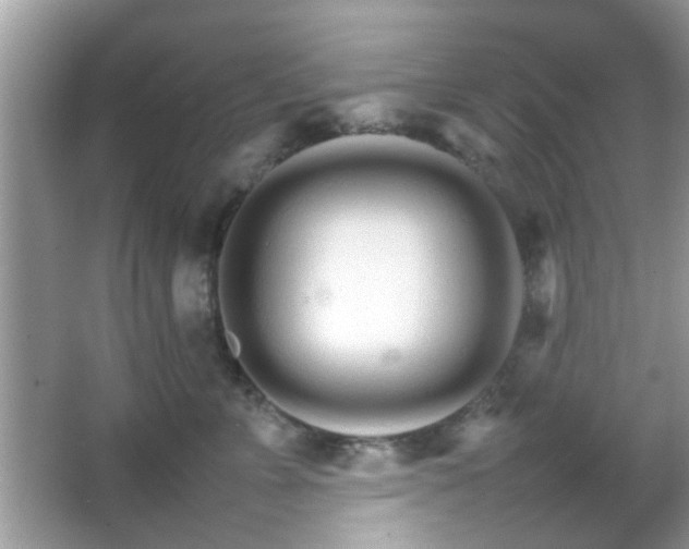 X0000066080715200603131138