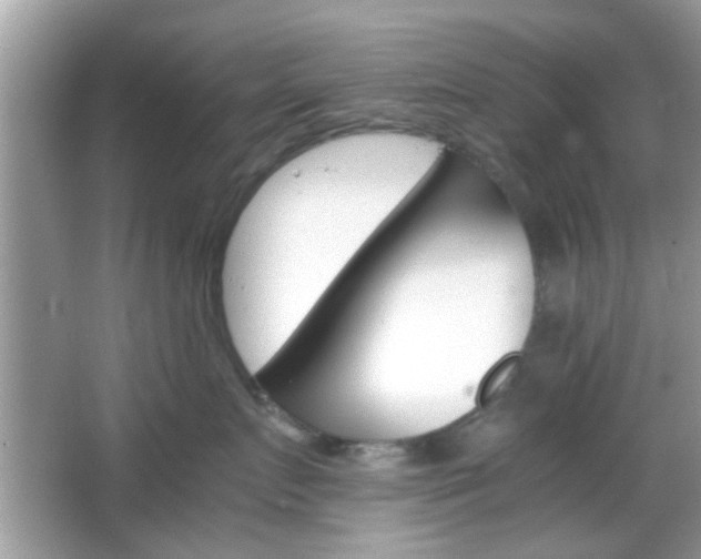 X0000066080719200603131138