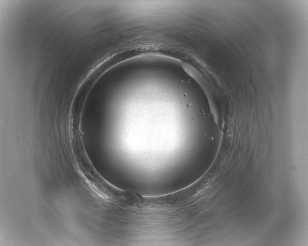 X0000066080722200603131137