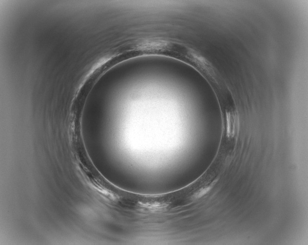 X0000066080723200603131137